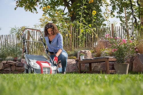 IKRA 80201020 scarificatore arieggiatore Elettrico IEVL 1840, Cesto di Raccolta 55l, Larghezza 40cm, profondità di Lavoro Regolabile, 1800 W, 230 V, Griggio/Rosso : Amazon.it: Giardino e giardinaggio