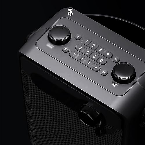 ROUZIHU Altoparlante H8 Amplificatore vocale Portatile Microfono Registrazione Audio Radio FM Altoparlante Scheda TF : Strumenti Musicali