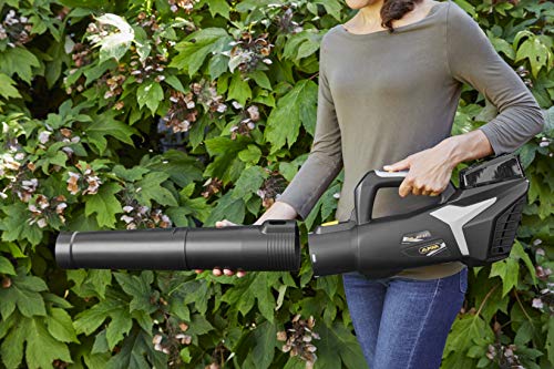 Alpina Soffiatore a Batteria ABL 20 Li Kit, per un Giardino Pulito e in Ordine, Batteria 20V (4 Ah), 280 W,Tubo Rimovibile Salvaspazio, Batteria e Caricabatteria incl. : Amazon.it: Giardino e giardinaggio