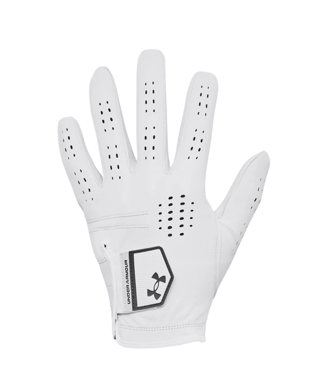 Under Armour Men's Tour Golf Glove - White/Castlerock/Castlerock