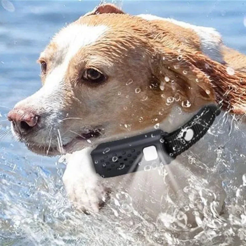 Collar de Entrenamiento Remoto para Perros AuroraPaw con Alcance de 3280 Ft