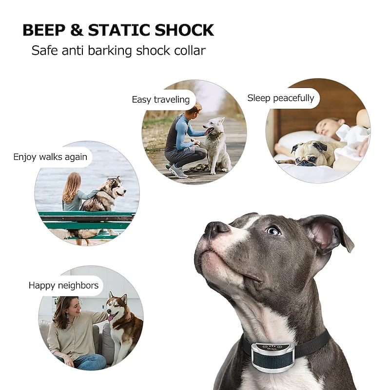 Collar Recargable Antiladridos BarkGuard Pro Para Todas Las Razas