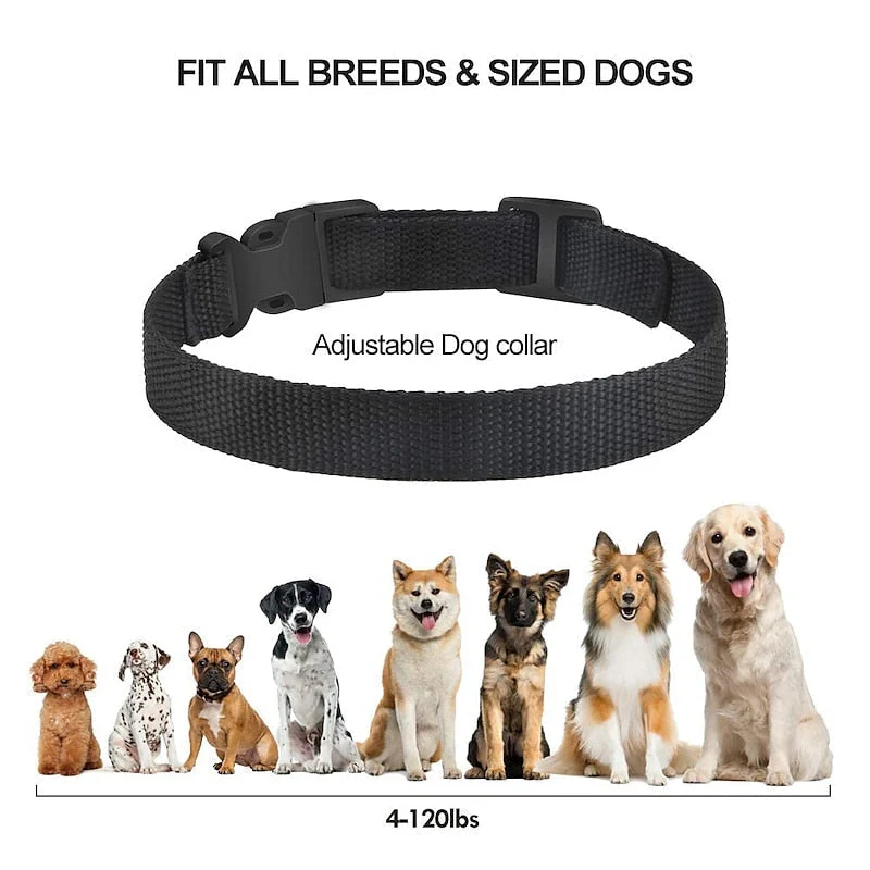 Collar Recargable Antiladridos BarkGuard Pro Para Todas Las Razas