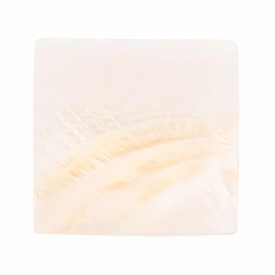 Mother of Pearl Sushi Plate