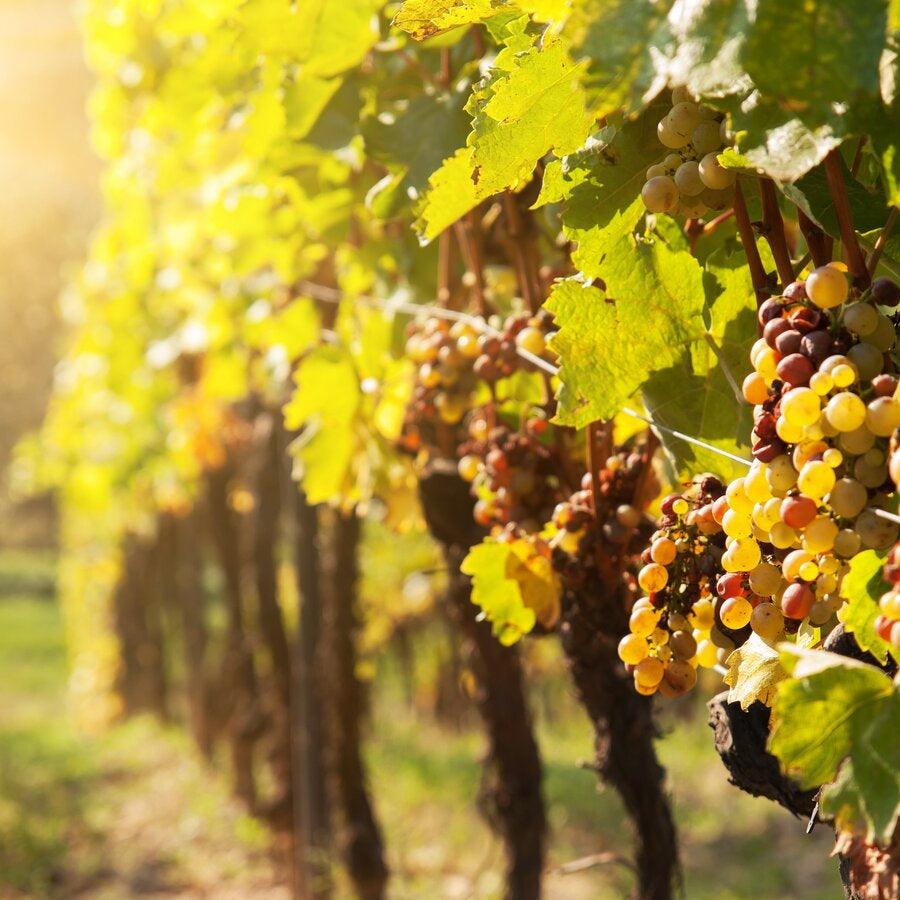 Balsamic Tokaji Aszú Vinegar 200ml