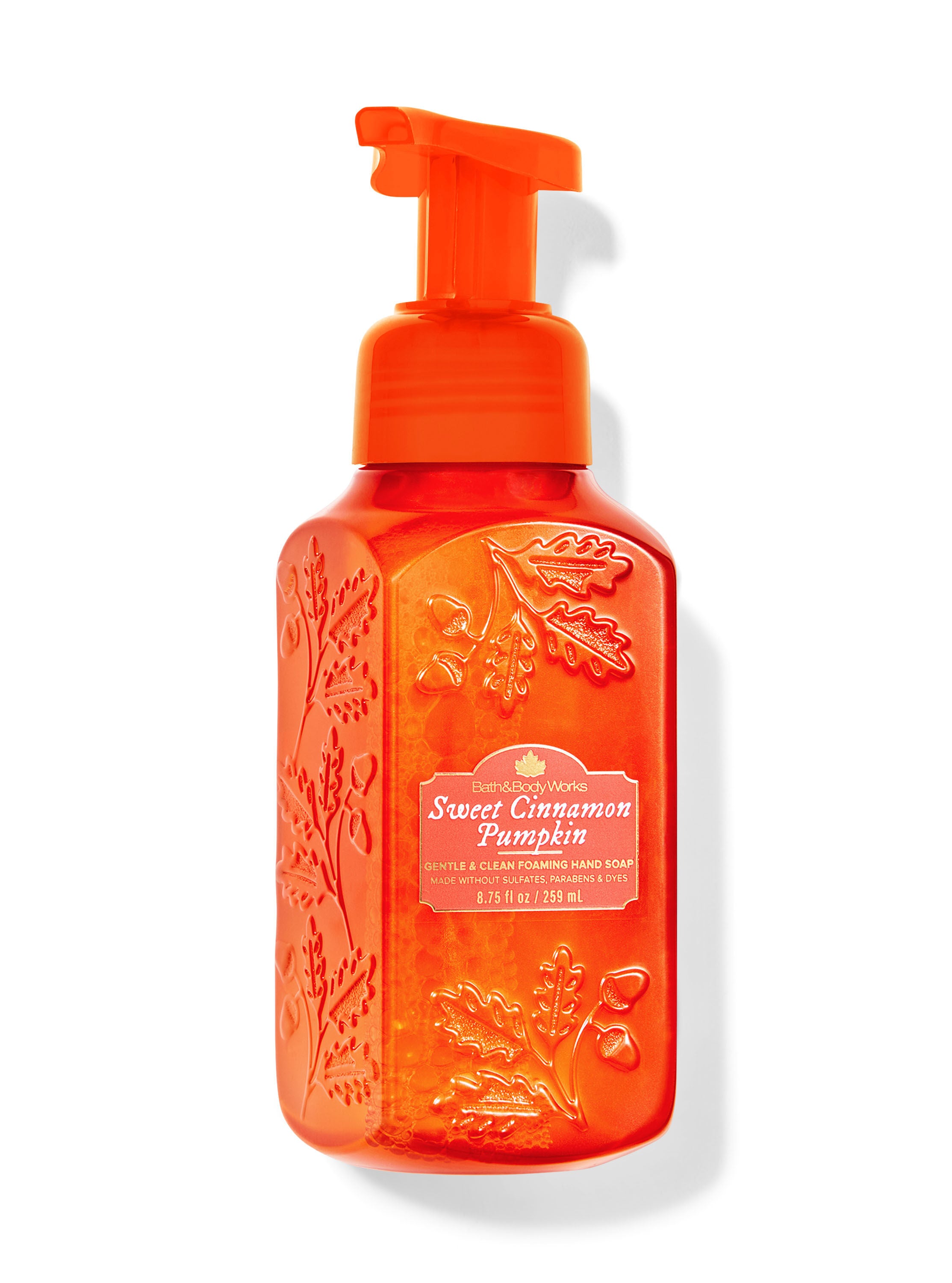 Sweet Cinnamon Pumpkin Gentle & Clean Foaming Hand Soap