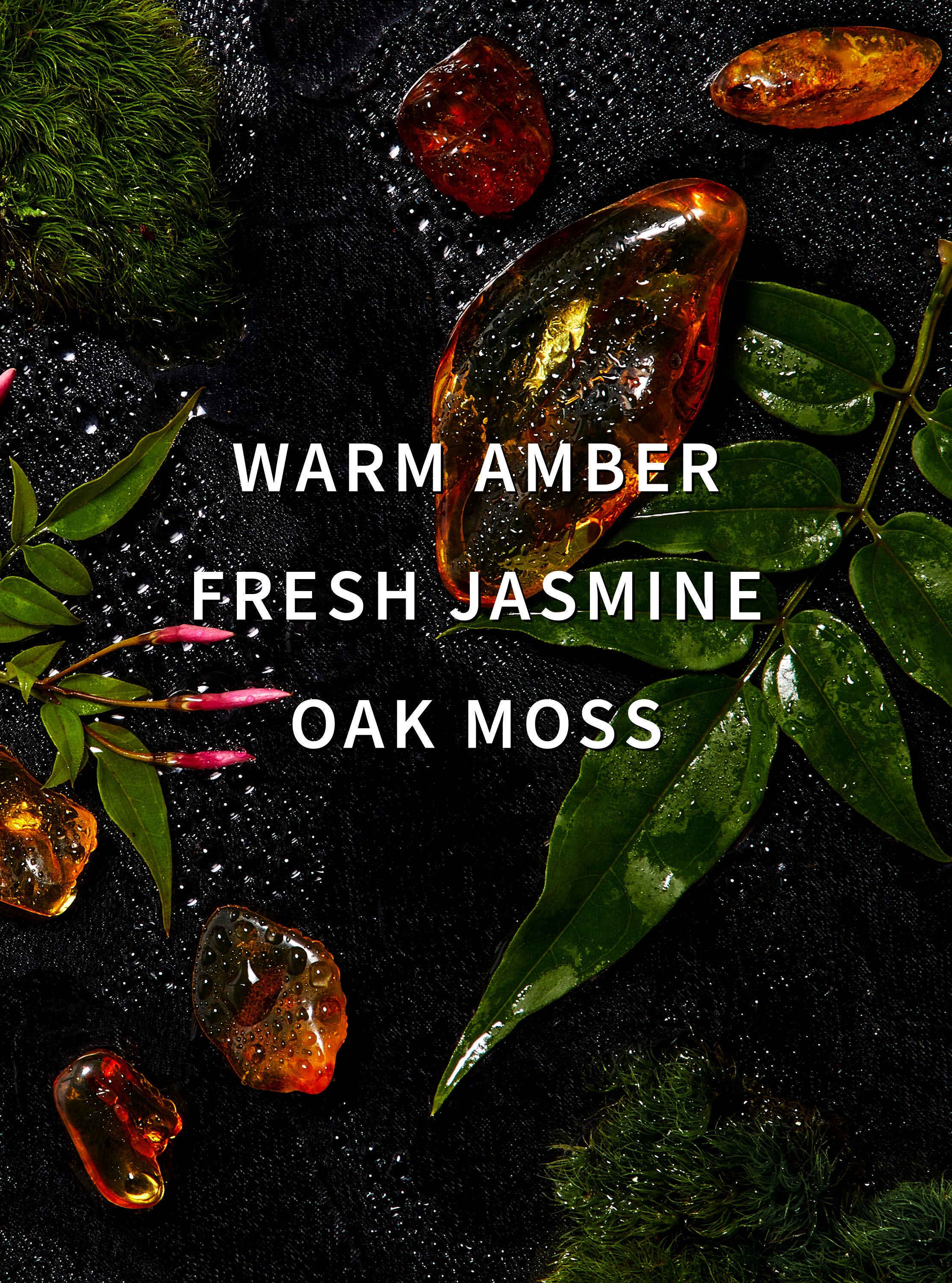 Amber Blush Laundry Detergent