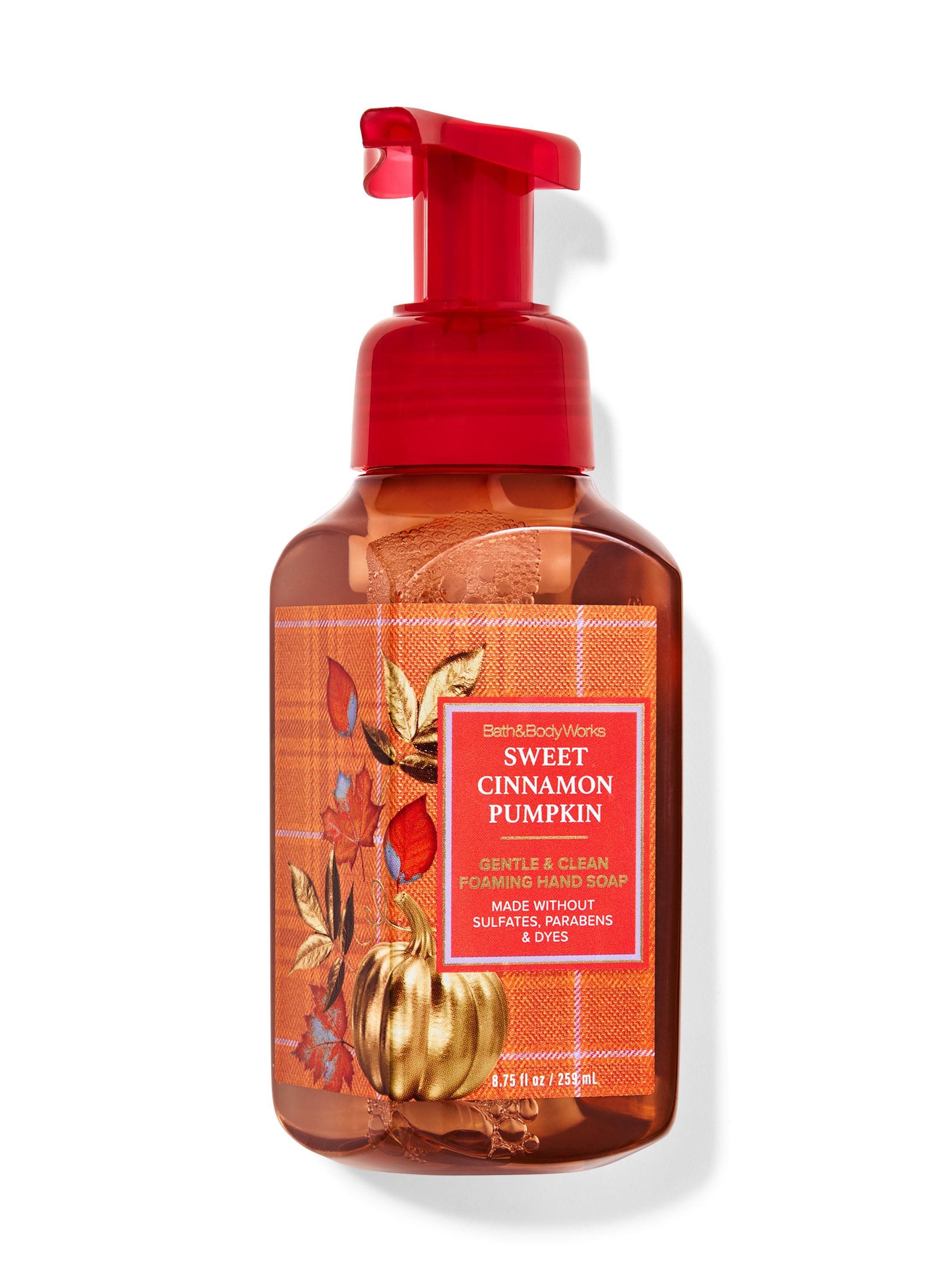Sweet Cinnamon Pumpkin Gentle & Clean Foaming Hand Soap