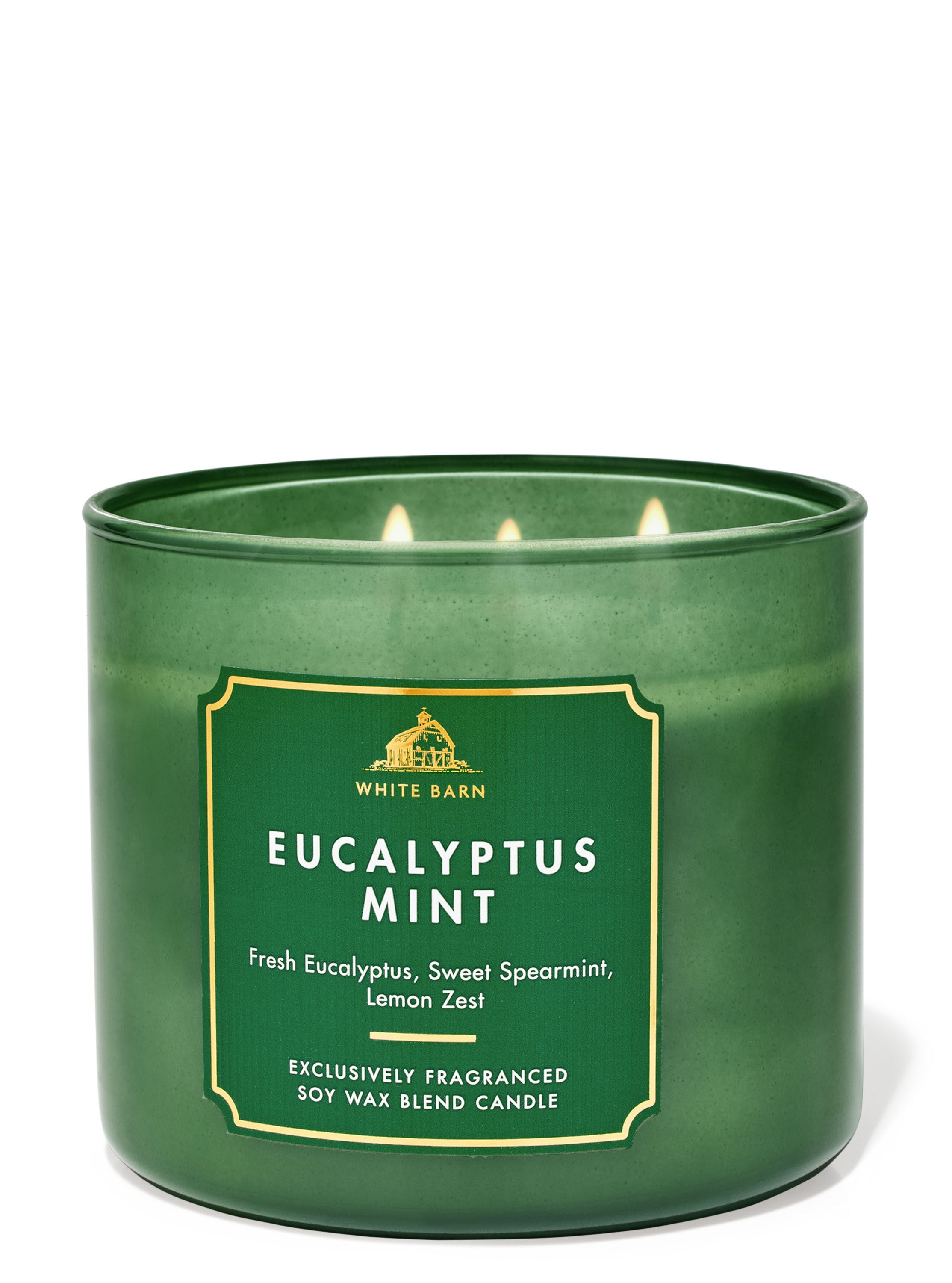 Eucalyptus Mint 3-Wick Candle