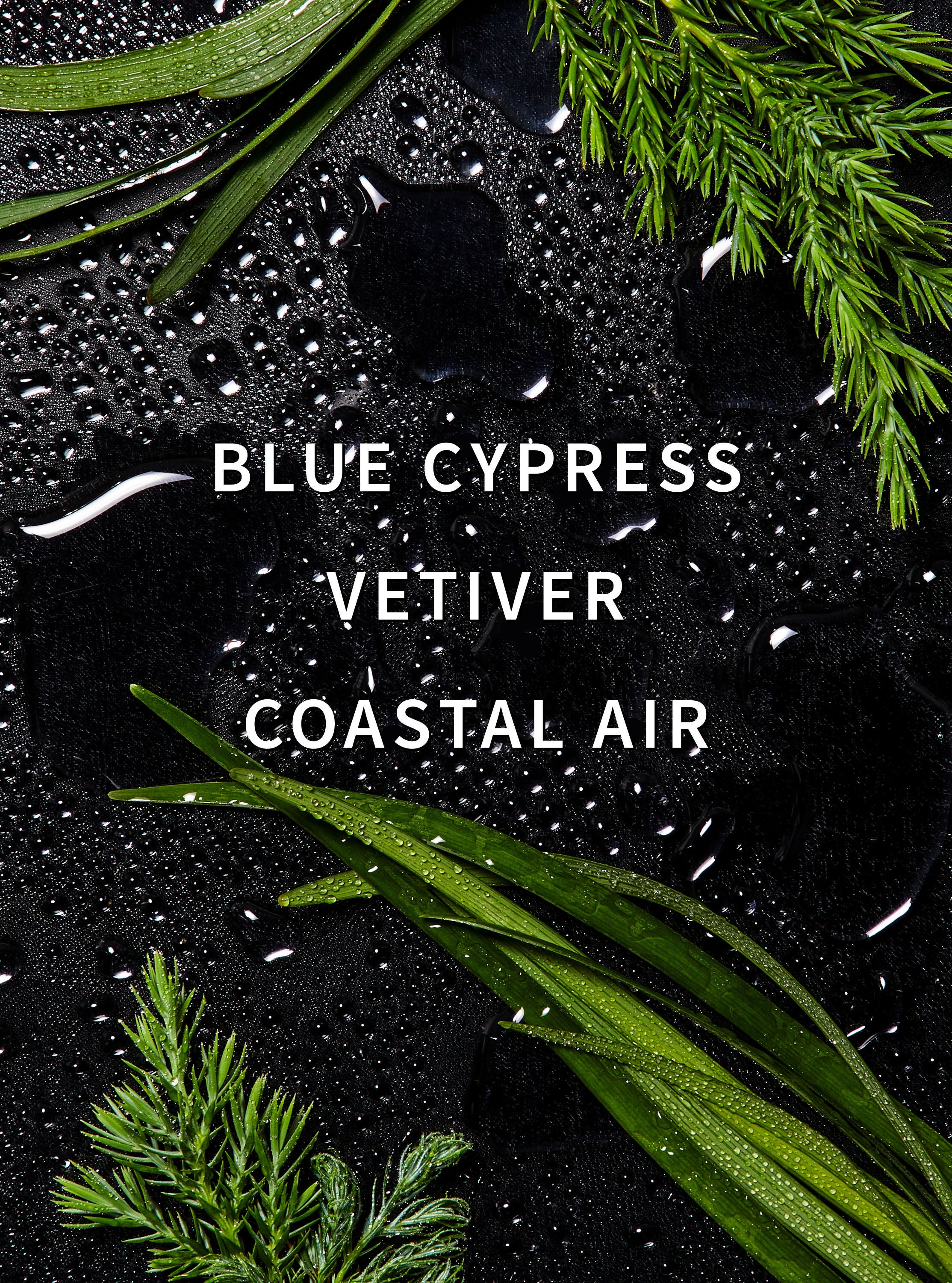 Ocean Fragrance Booster