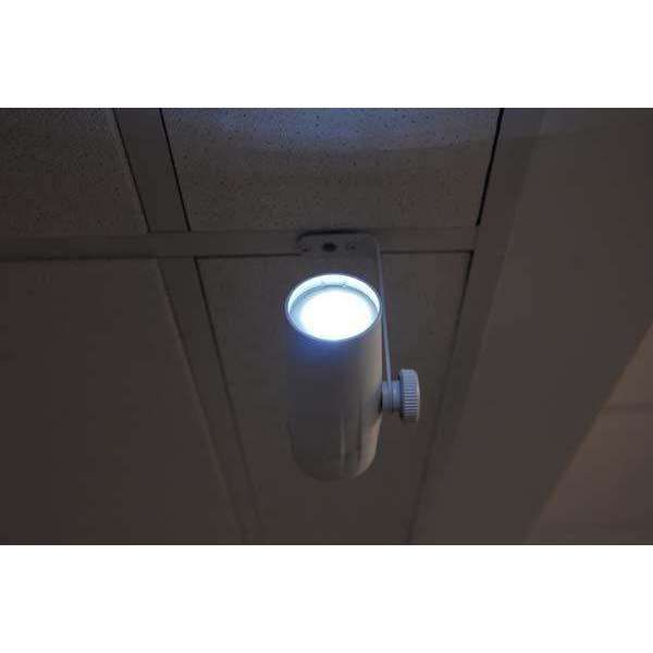 Chauvet DJ EzPin Battery Powered Pinspot - 4 Pack