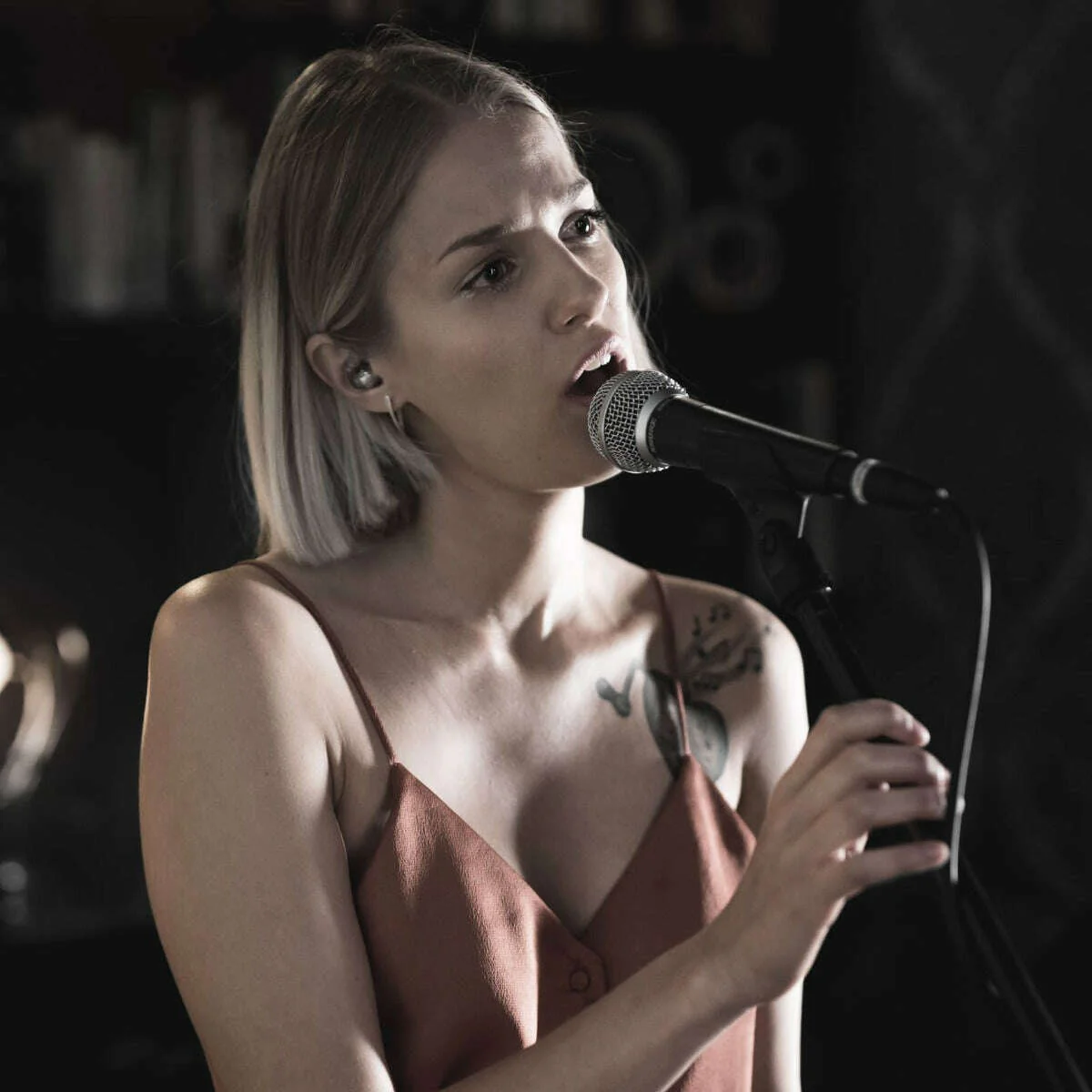 Shure SM58 Vocal Microphone