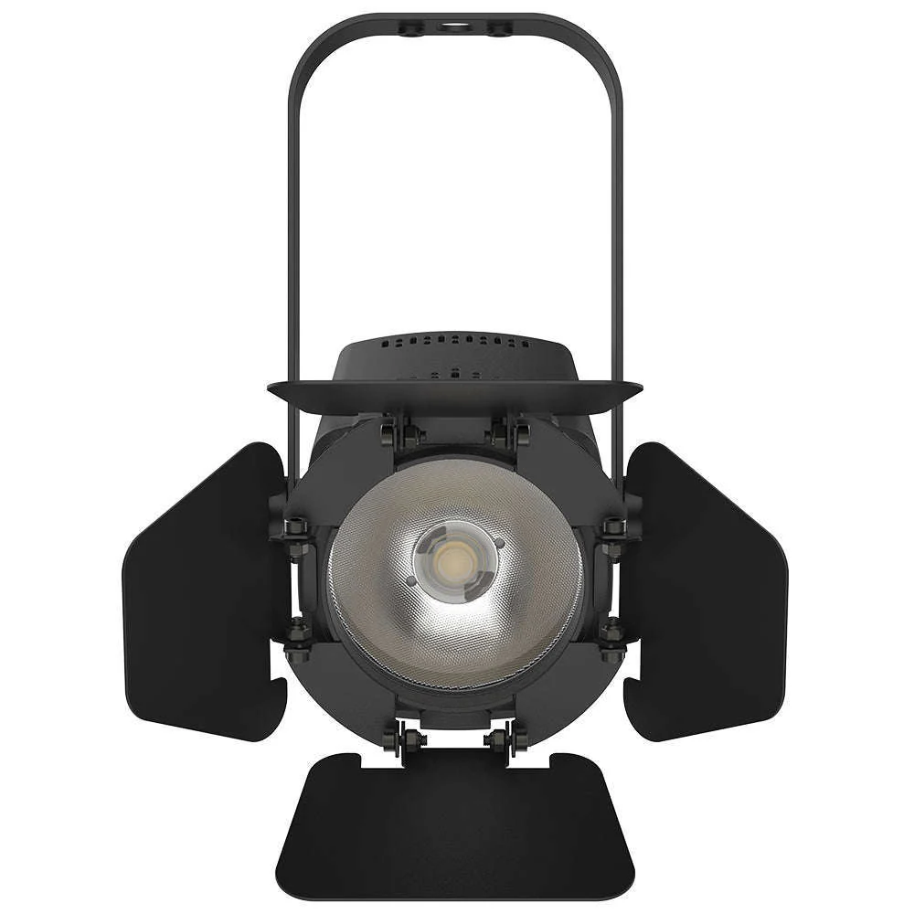 Chauvet DJ EVE TF-20X LED Accent Light