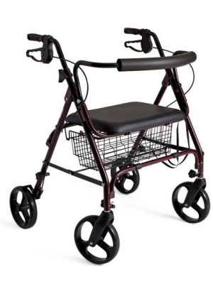 2024 Step2 Anniversary Edition Up and Down Roller Coaster Ride-on Toy