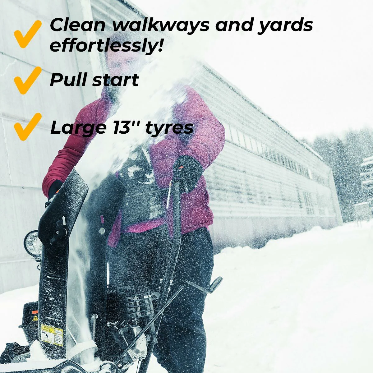 Fornorth Schneefrse S4100